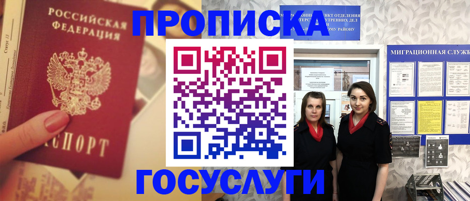 временная регистрация поиск в Новгородской области